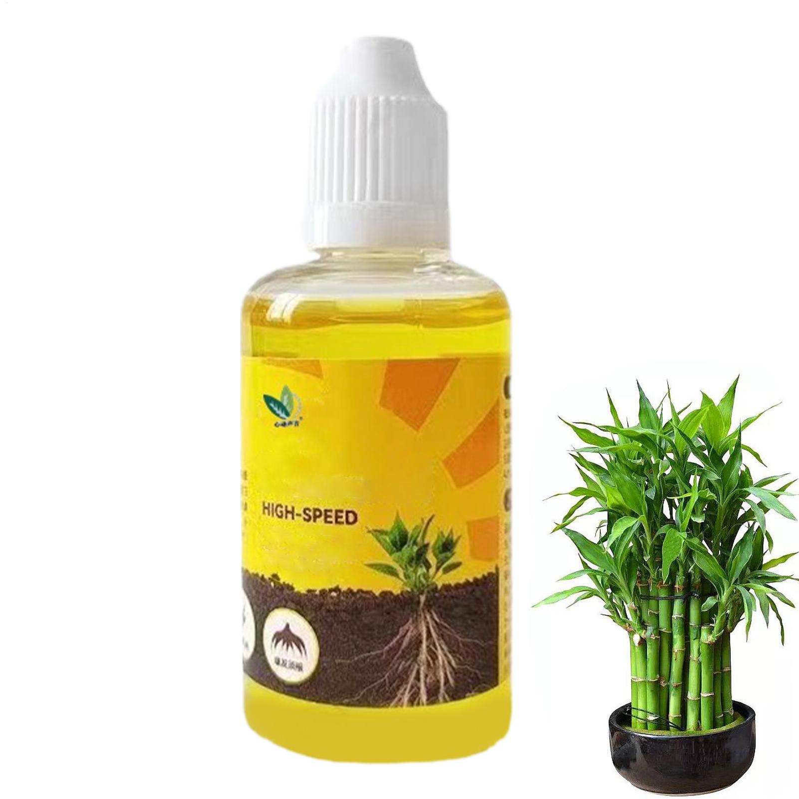 Rooting Hormone Powder - 50ml 식물 뿌리 자극제 액체 식물