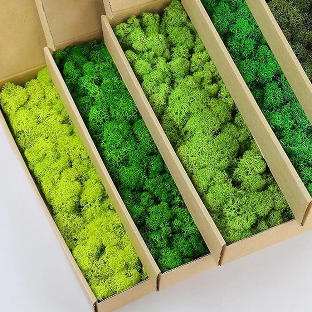 20-200g 인공 녹색 식물 가짜 잔디 영원한 생명  - Sphagnum Moss Dry 리뷰 및 가격