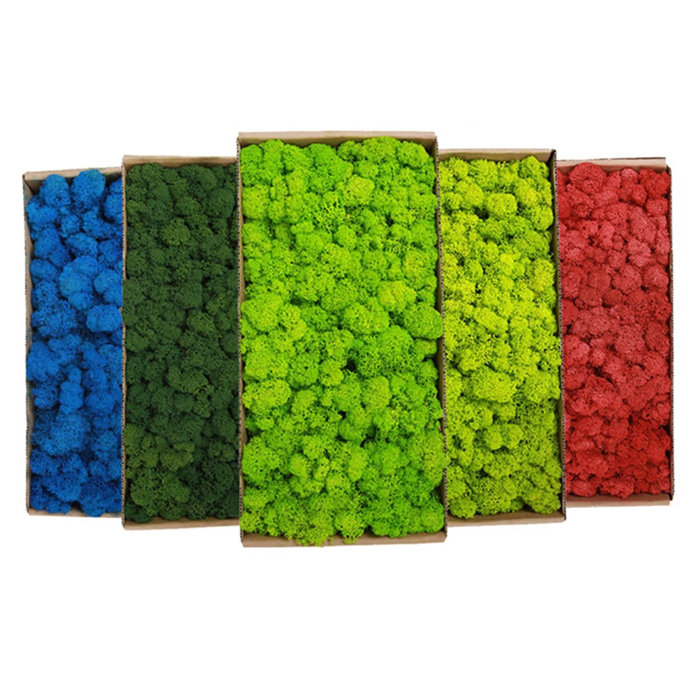 20-200g 인공 녹색 식물 가짜 잔디 영원한 생명  - Sphagnum Moss Dry 리뷰 및 가격
