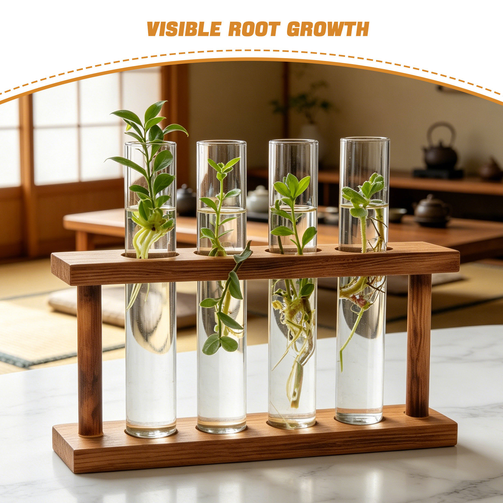 나무 받침대, 식물 번식 스테이션, 유리 시험관 화병  - Propagation Station Vase 리뷰 및 가격