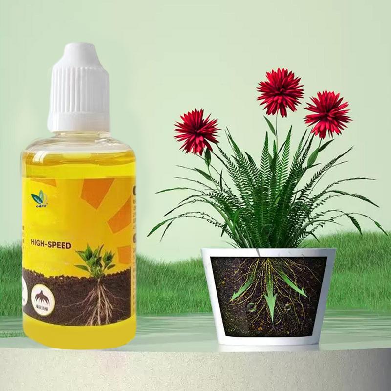 식물 뿌리 자극기 액체 절단 발근 자극기, 빠른 발근  - Rooting Hormone Powder 리뷰 및 가격