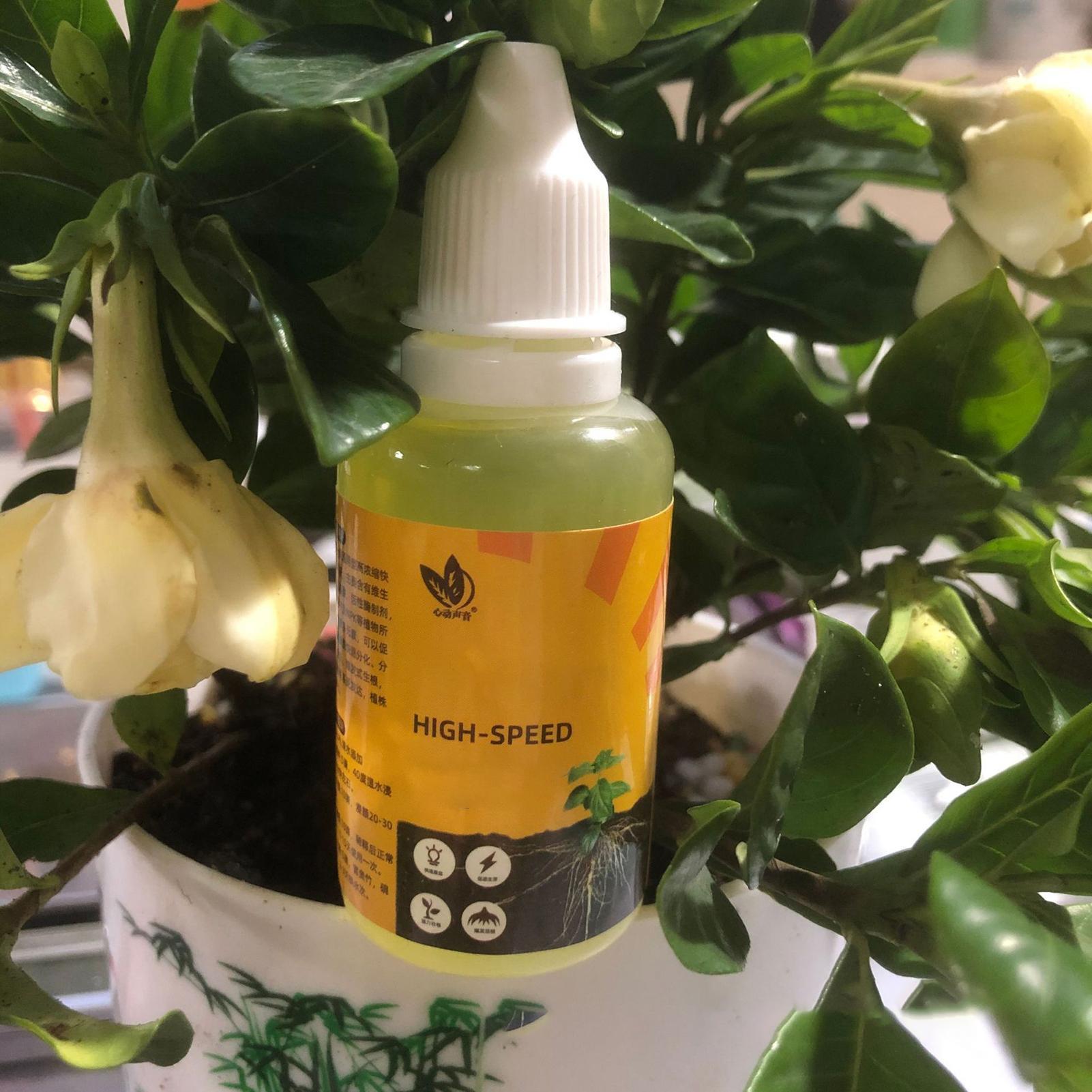 50ml 식물 뿌리 자극제 액체 식물 뿌리 부스터 액체 - Rooting Hormone Powder 리뷰 및 가격