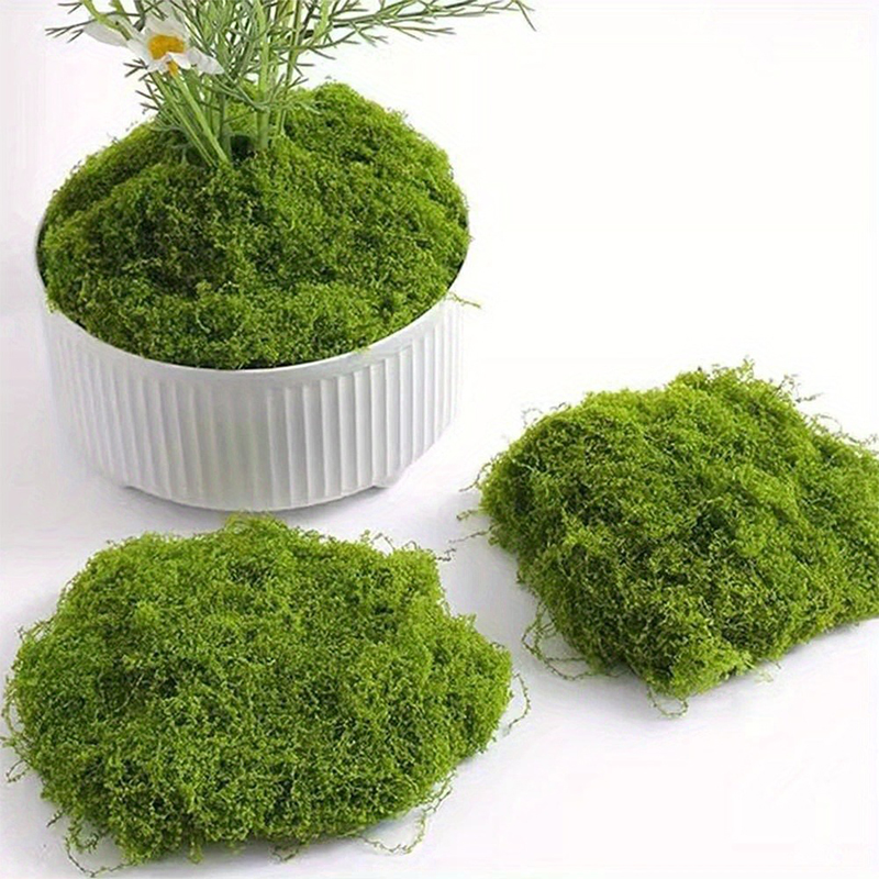 녹색 인조 이끼 DIY 공예 잔디 인공 이끼 보존 처리 - Sphagnum Moss Dry 리뷰 및 가격