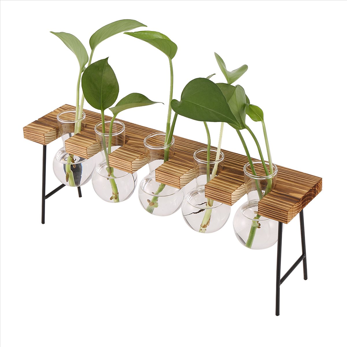 ABFS 번식 스테이션 데스크탑 에어 플랜트 테라리움, - Propagation Station Vase 리뷰 및 가격