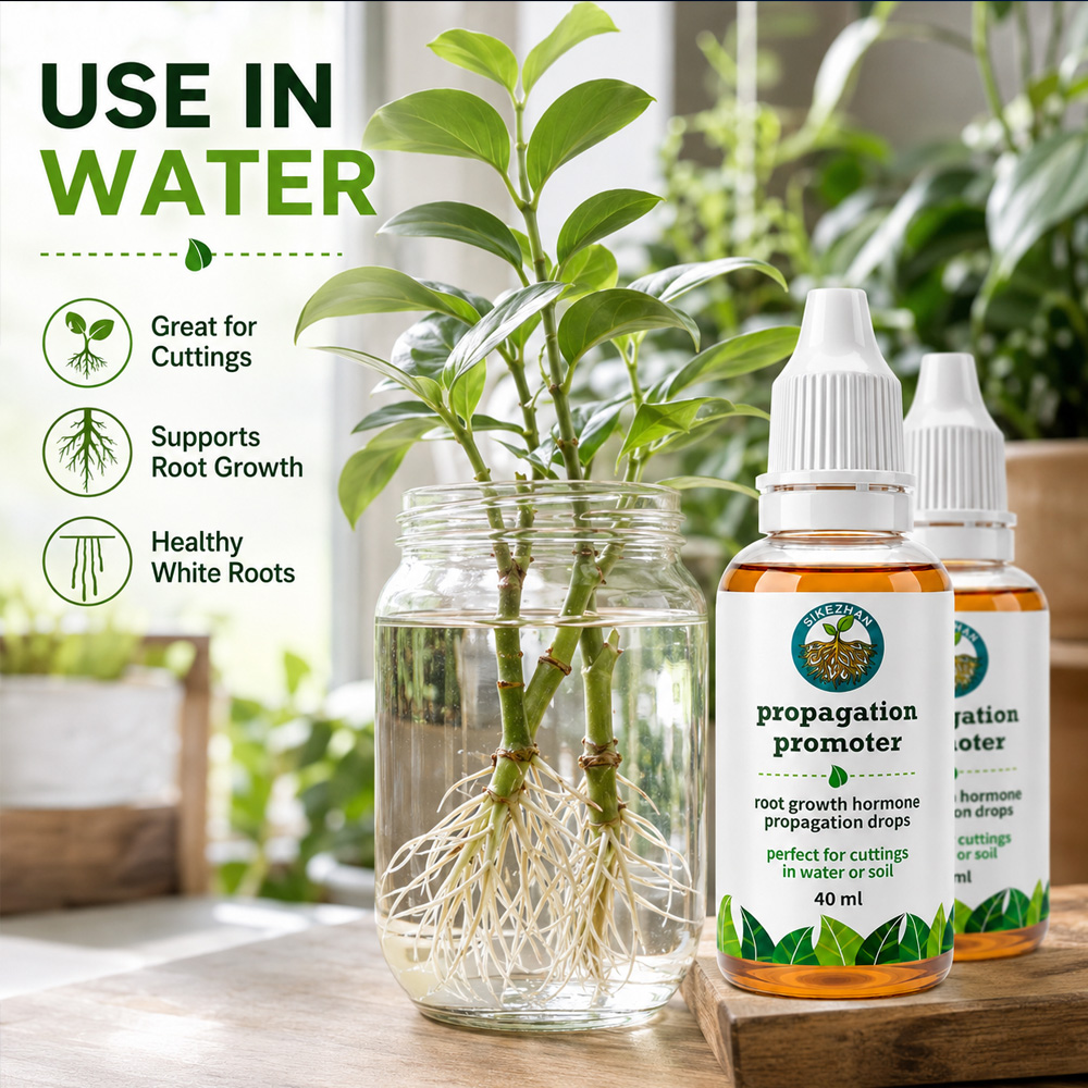 40ml 빠른 식물 뿌리 성장 촉진액, 실내 식물 줄기 - Rooting Hormone Powder 리뷰 및 가격