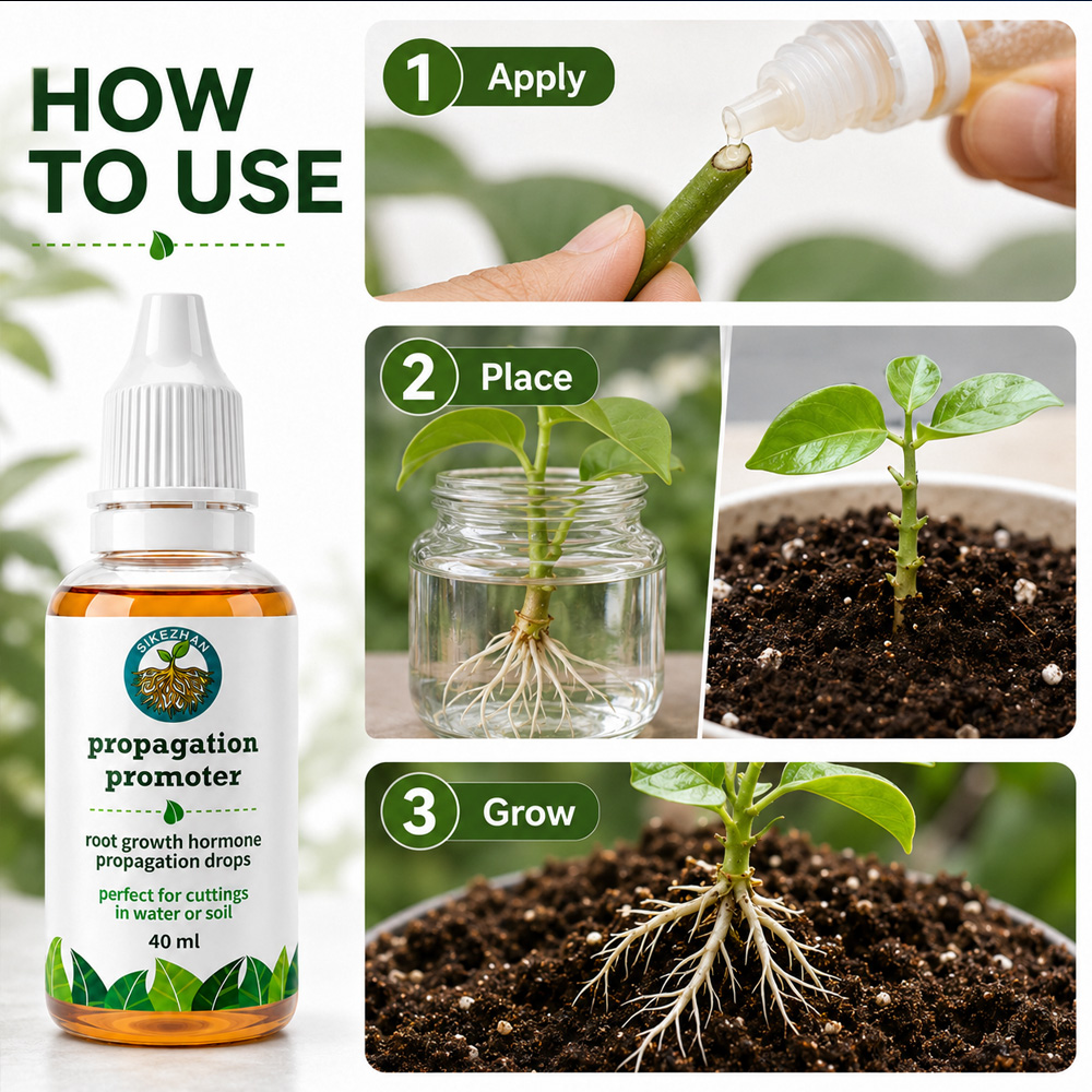 40ml 빠른 식물 뿌리 성장 촉진액, 실내 식물 줄기 - Rooting Hormone Powder 리뷰 및 가격