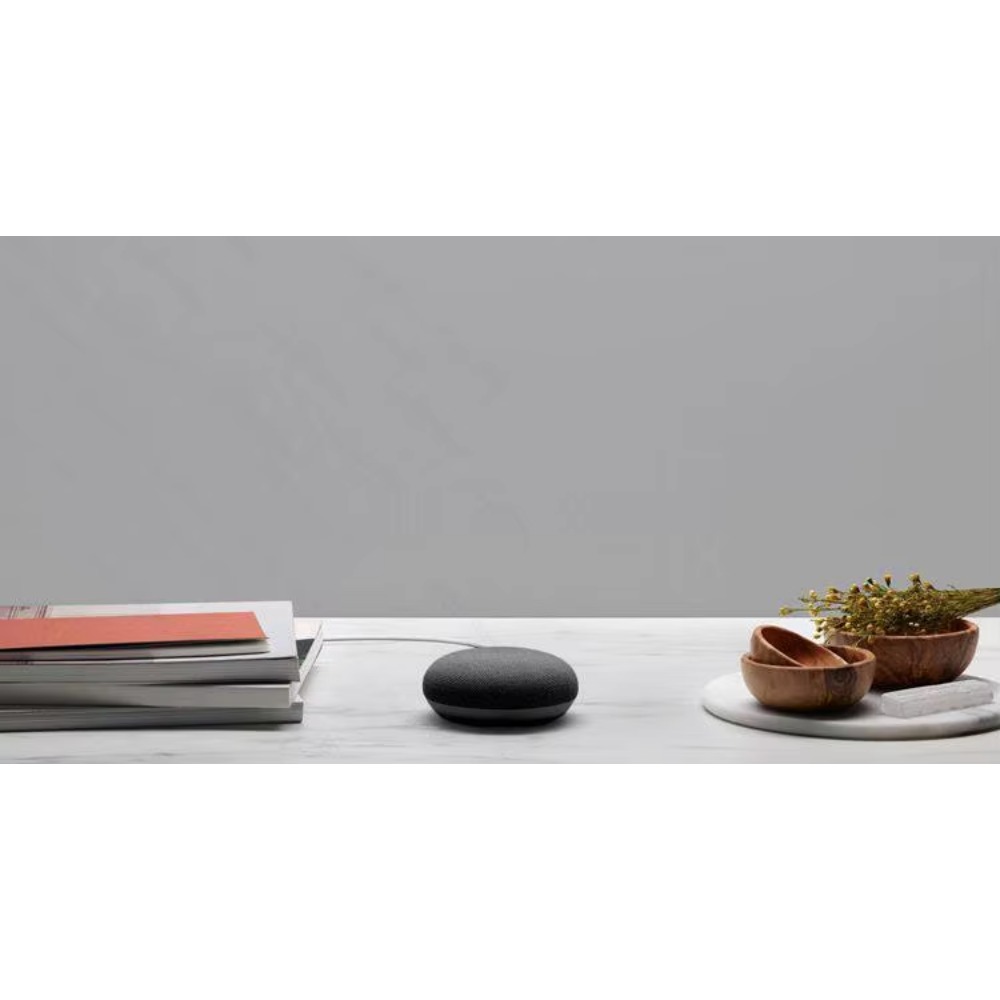 Google Nest Hub Max 및 Nest Min - Google Speaker Nest Hub 리뷰 및 가격